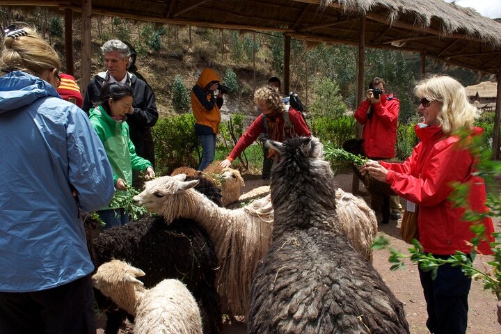 8-Day Ancient Altars of the Incas: Mysticim, Esoteric, Rural Communities & Machu Picchu - imagen #16