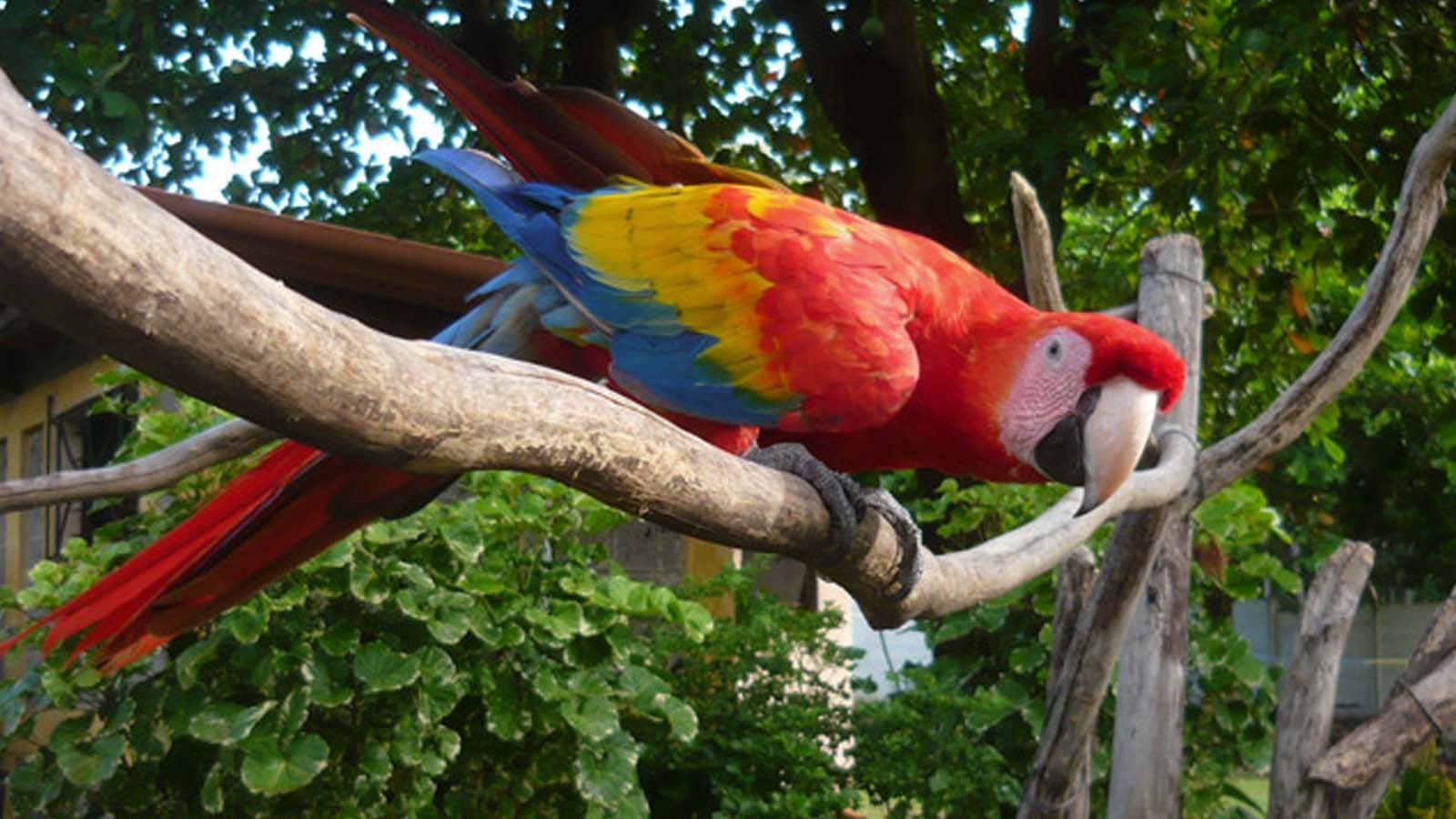 Iqu-04 : Amazon Expedition - 4 Days of Rainforest Marvels - imagen #18