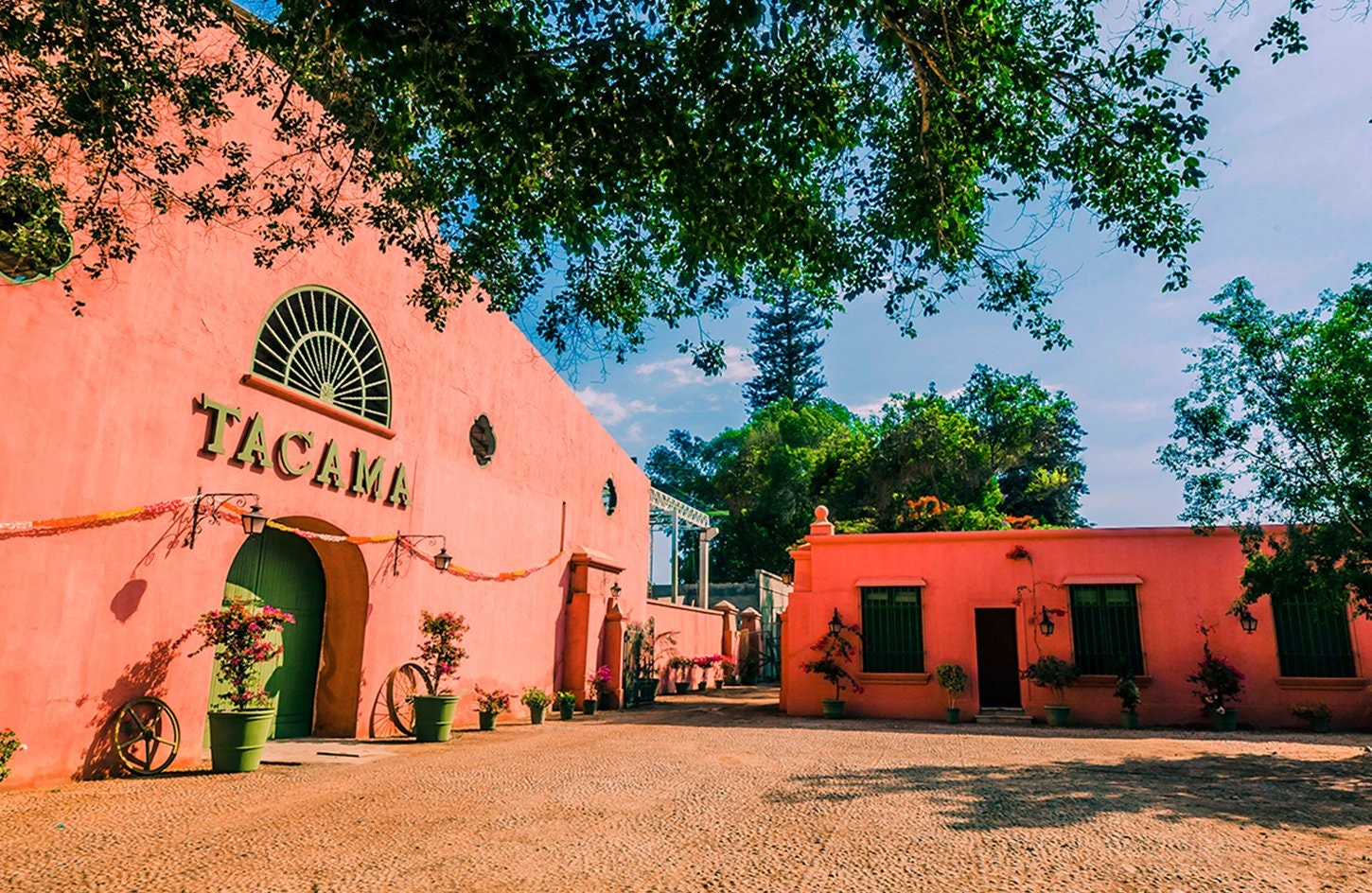 Ica-03 : Pisco and Wine Tasting Tour - Embarking on the Pisco Route - imagen #6