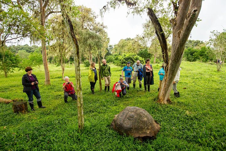 Excursión a la isla de Isabela: 3 días y 2 noches - imagen #2