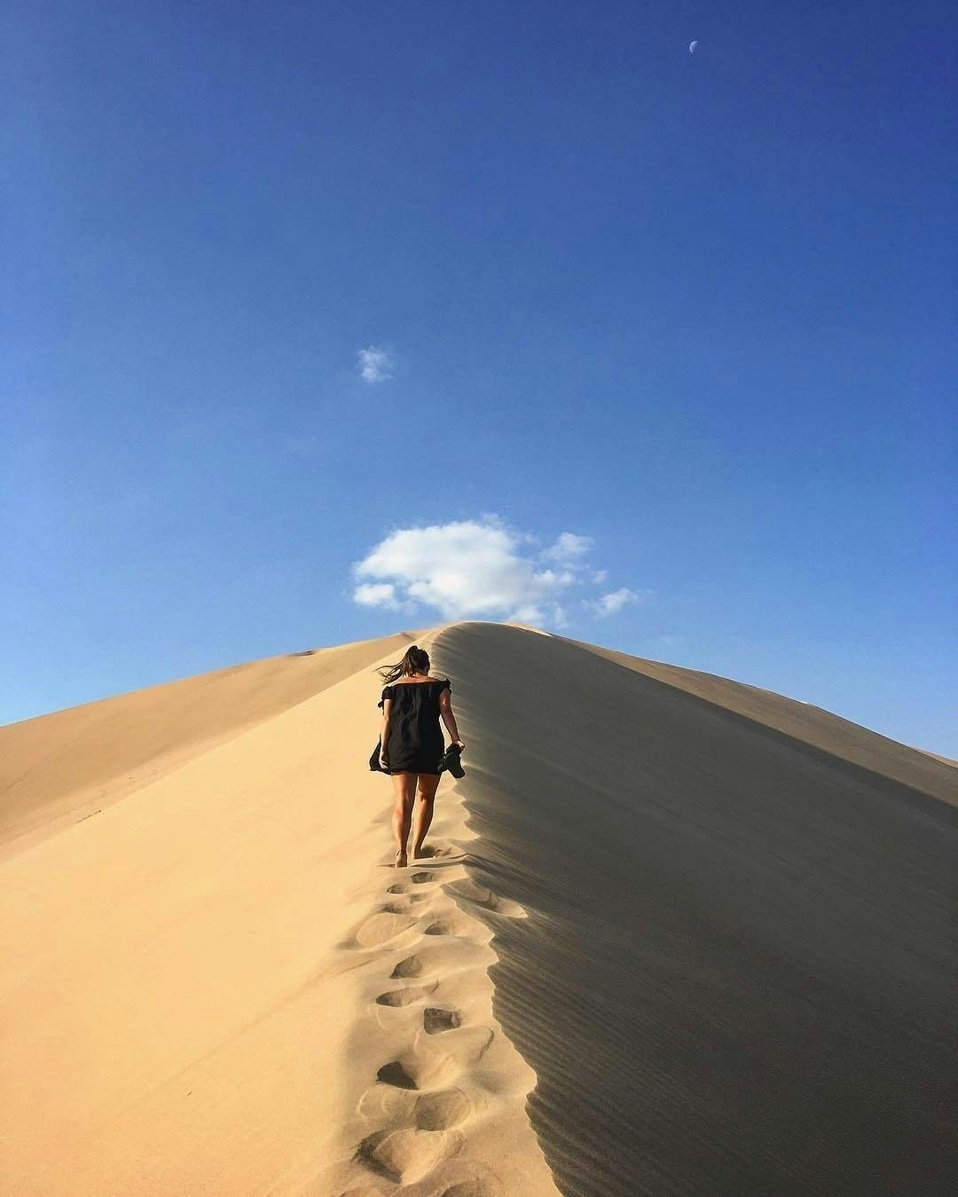 Ica-01 : Ride the Dunes - Extreme Buggy and Sandboarding - imagen #9