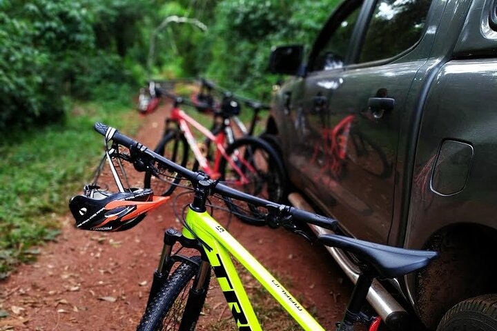 Jungle Wildlife Bike Tour to Iguazu National Park & Jaguar Road - imagen #10