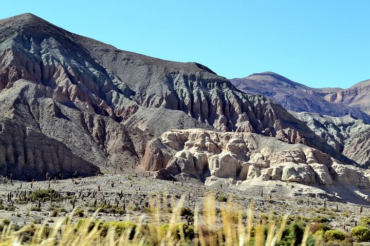 Laguna del Toro and Flamingo-Watching 4WD Tour from Salta - imagen #6