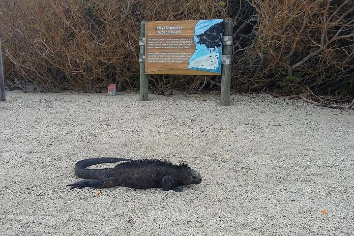 ISLAS GALÁPAGOS (7 DÍAS) - imagen #3