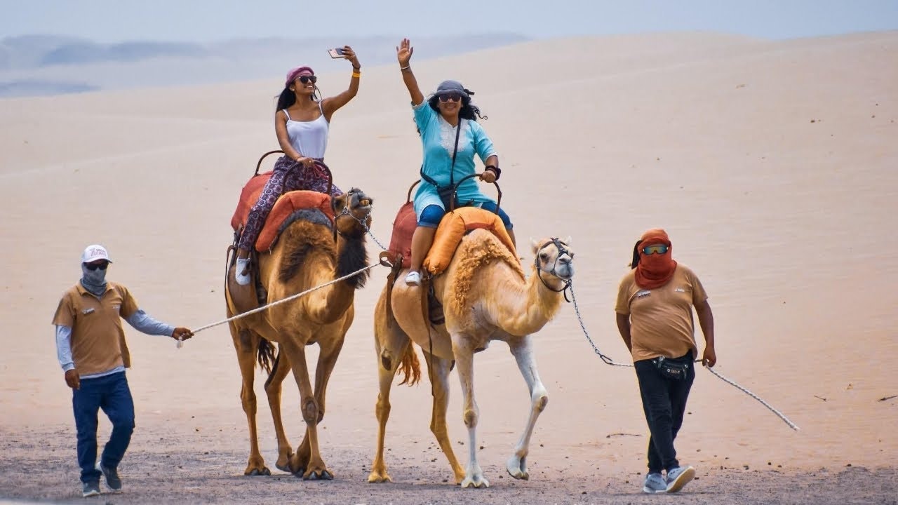Ica-04 : Camel Ride - Unforgettable Desert Experience - imagen #3