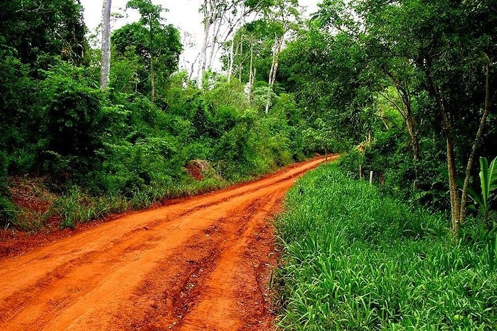 Jungle Fly: Adventure at the Jungle in Iguazu - imagen #5