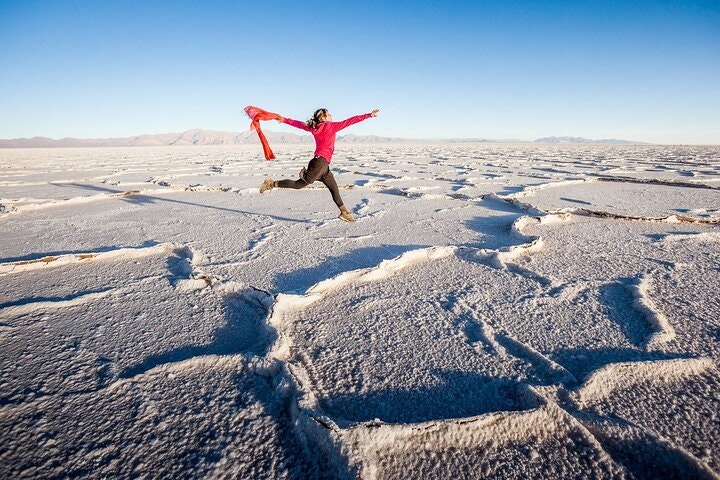 Full-Day Salinas Grandes Tour from Salta - imagen #9