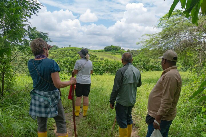 Cacao Farm Excursion Day Trip from Guayaquil - imagen #13