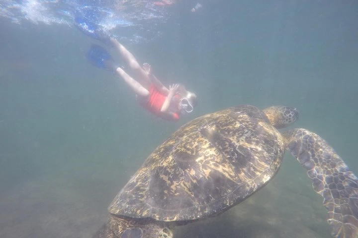 ISLAS GALÁPAGOS (7 DÍAS) - imagen #4