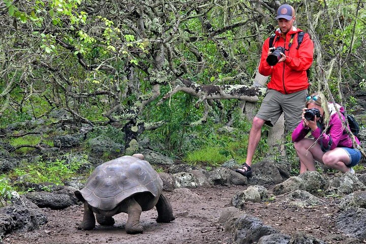Galápagos: 4 días explorando la isla de San Cristóbal - imagen #2