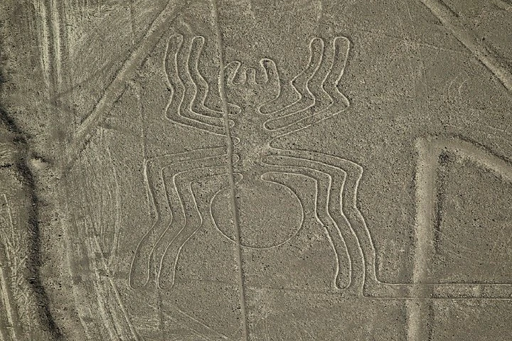 Sobrevuelo de las Líneas de Nazca - imagen #6