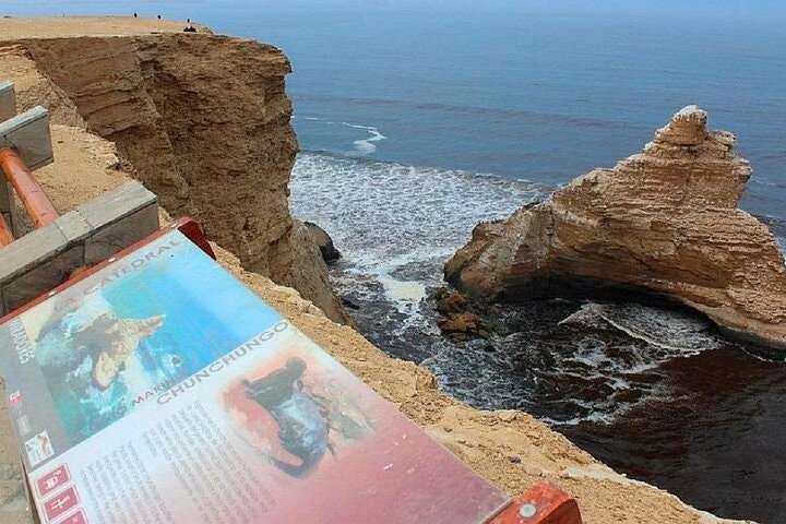 Paracas with Ballestas Islands Tour Package - imagen #4