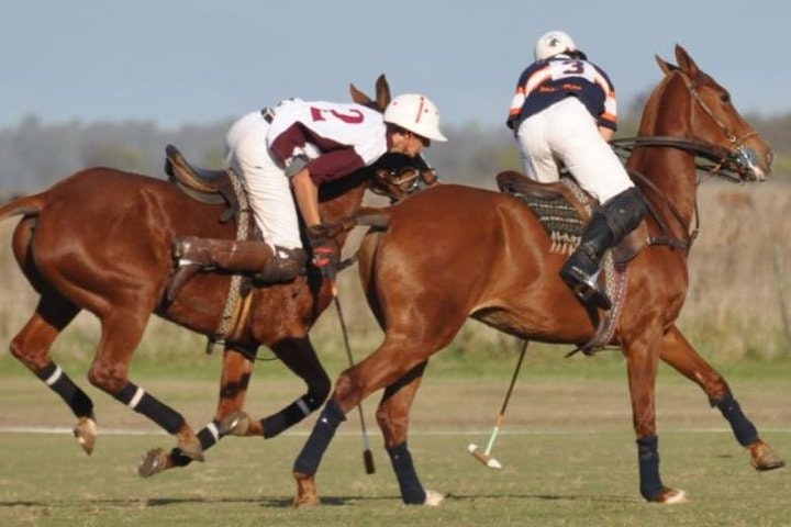 Polo Lesson Experience at Villa Maria with Argentinean Barbecue - imagen #3