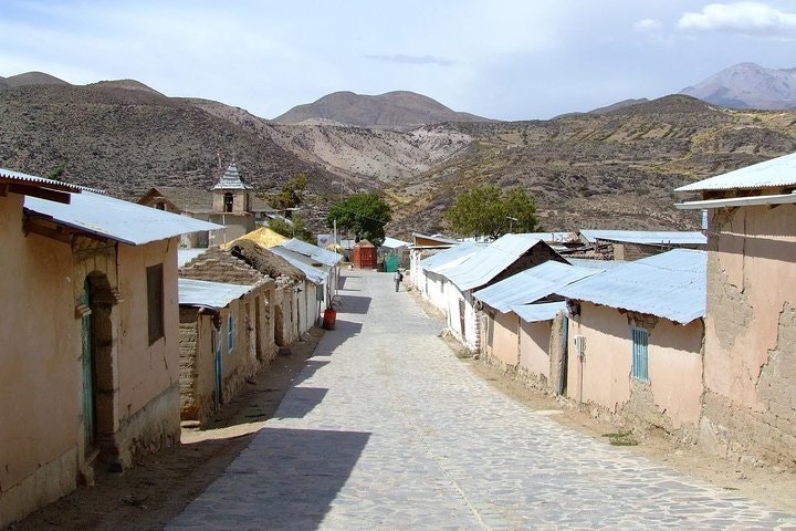 4-Days Unique Experience at the Chilean High Plateau - imagen #11