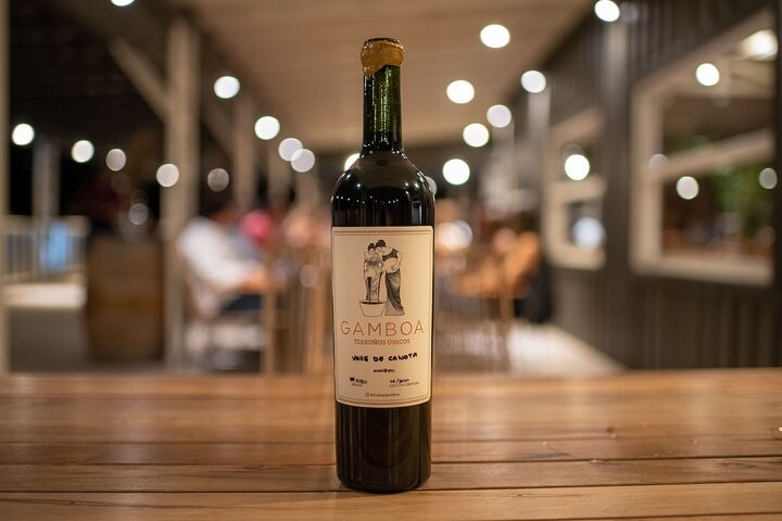 Bodega Gamboa Small-Group Wine Tasting Tour with Lunch - imagen #19