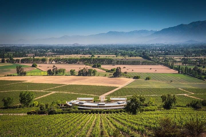 7-Days Unique Experience visiting the best Chilean & Argentinean Wine Valleys! - imagen #6