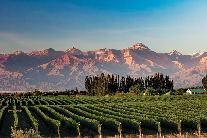 7-Days Unique Experience visiting the best Chilean & Argentinean Wine Valleys! - imagen #14