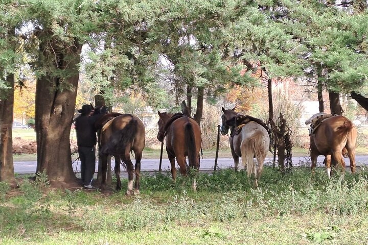 Horseback Riding Experience in Carlos Keen - imagen #23
