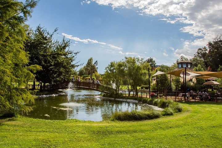 7-Days Experience at Casablanca Valley & Easter Island - Wine and Culture - imagen #10