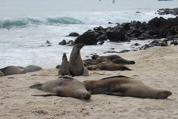 ISLAS GALÁPAGOS (7 DÍAS) - imagen #5