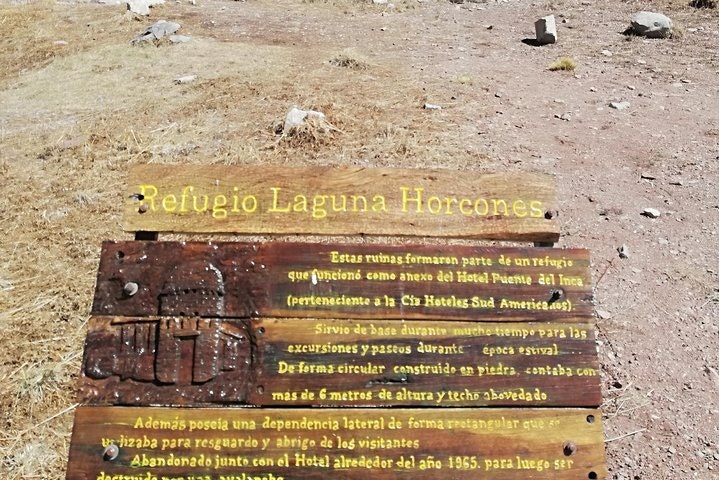 Full Day Trip to Aconcagua Park Argentina and Inca s Lagoon from Santiago - imagen #19