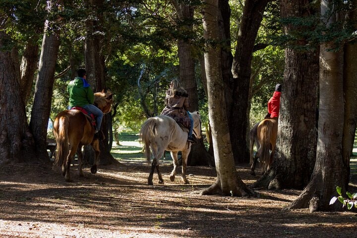 Patagonian Horseback Riding Experience in Baqueanos - imagen #5