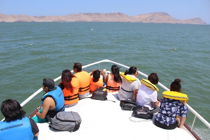 Palomino Islands Sightseeing Boat from Lima - imagen #4