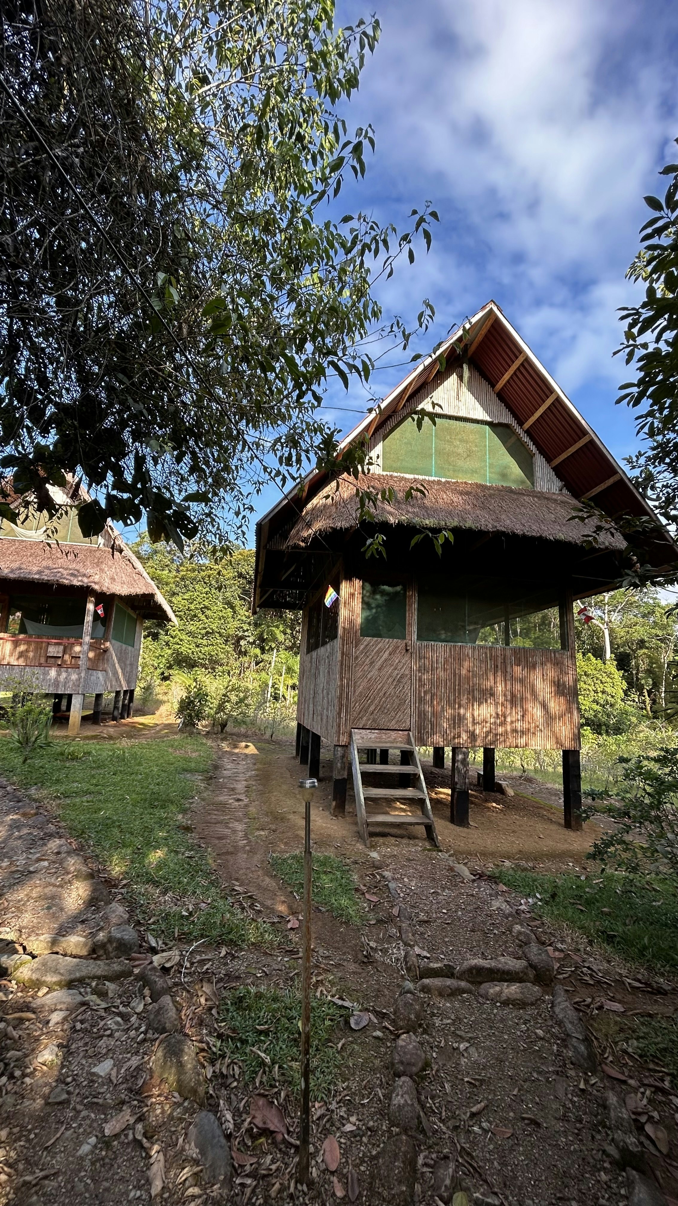 Cus-06 : Manu Rainforest Escape - 3 Days of Amazon Wildlife - imagen #7