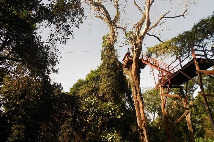 Jungle Fly: Adventure at the Jungle in Iguazu - imagen #3