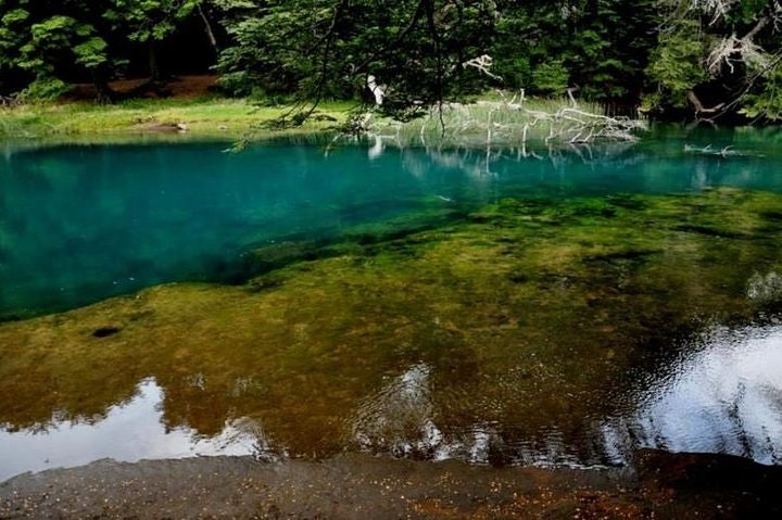 5-Day Private Luxury Trip in Bariloche - imagen #3