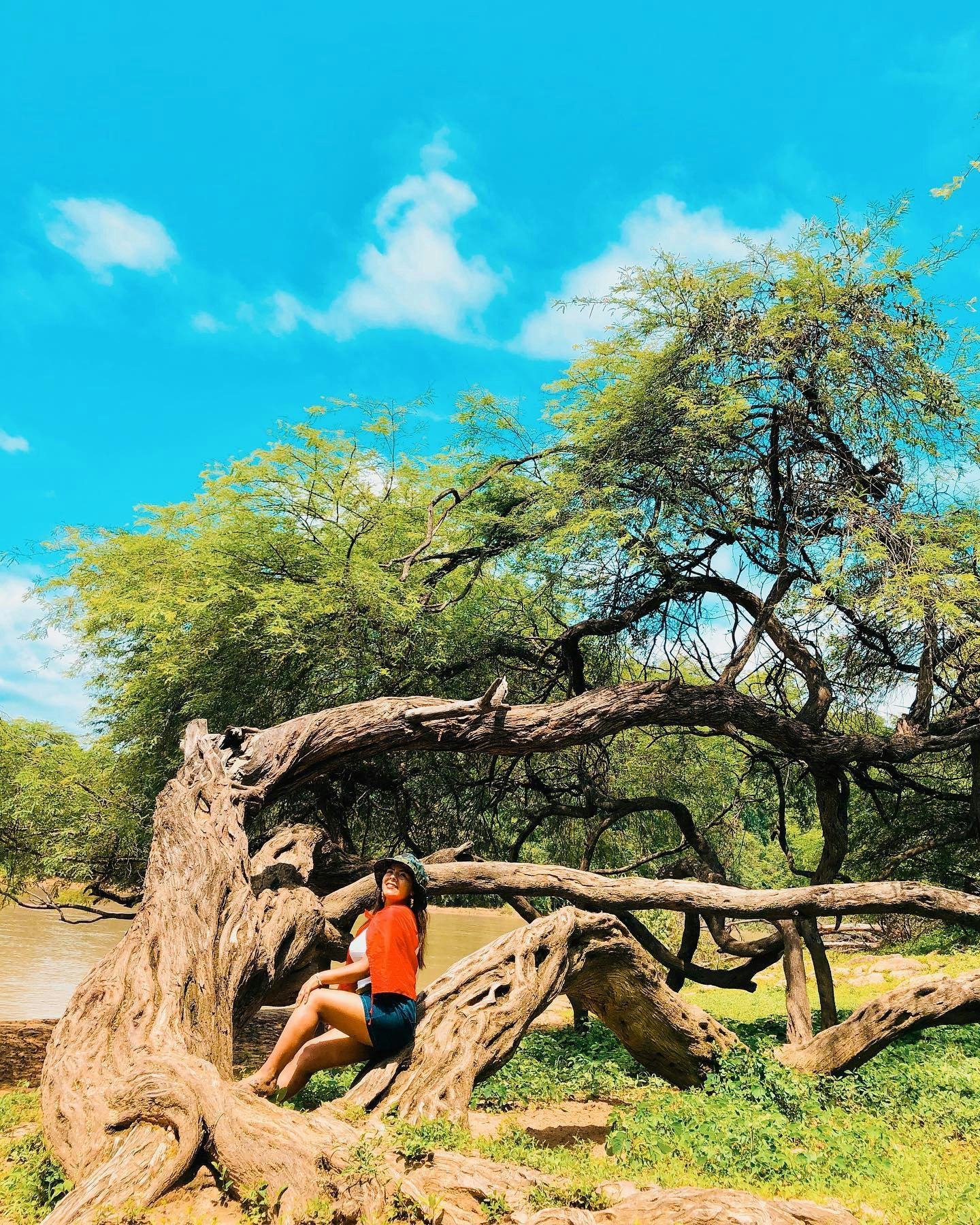 Tum-03 : Cerros de Amotape National Park - Into the Wild - imagen #2