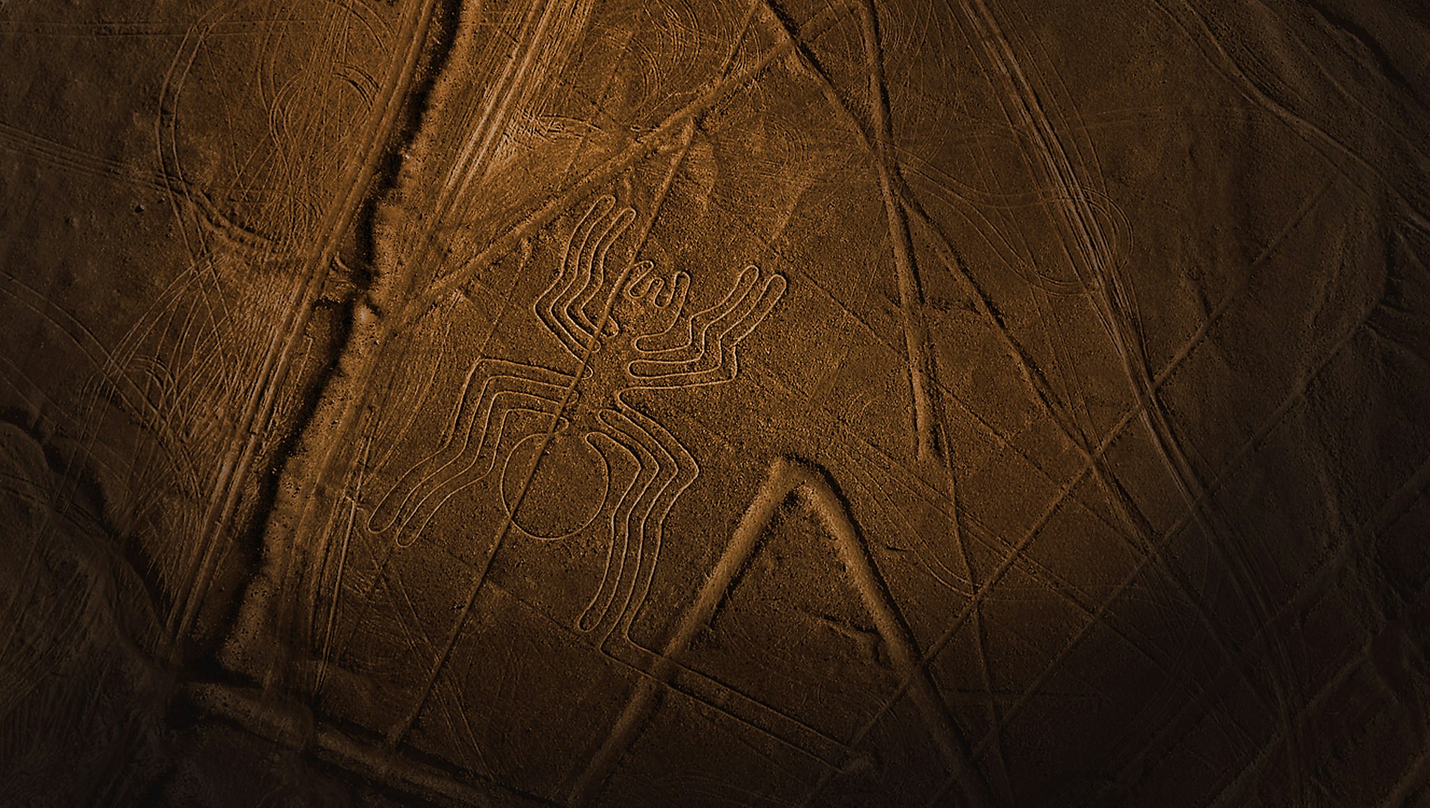 Excursión de día completo a las Líneas de Nazca desde Lima (autobús y vuelo) - imagen #10