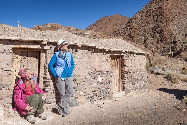 Safari to the Clouds Tour Northwest Argentina from Salta - imagen #12
