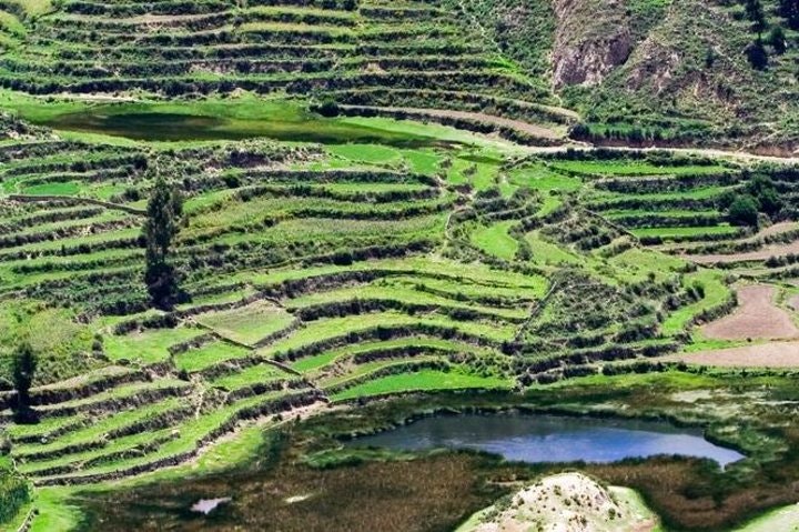 2-Day Flight of Condor on Colca Canyon from Arequipa - imagen #2