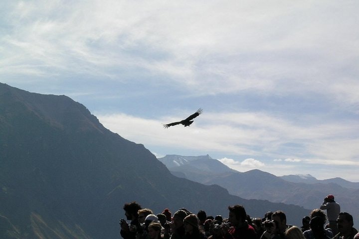 Full Day Colca Canyon Tour - imagen #3
