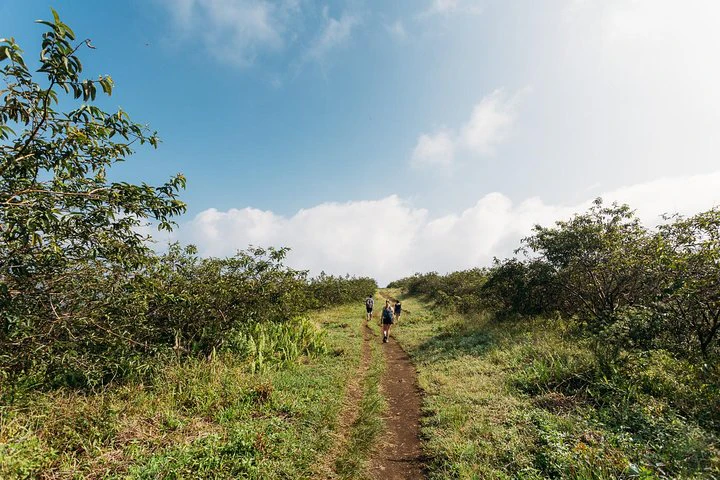 Galápagos: Santa Cruz e Isabela. Excursiones de 6 días - imagen #12