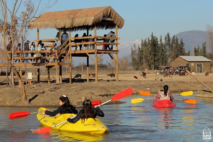 Safari Park Full Day from Santiago - imagen #3
