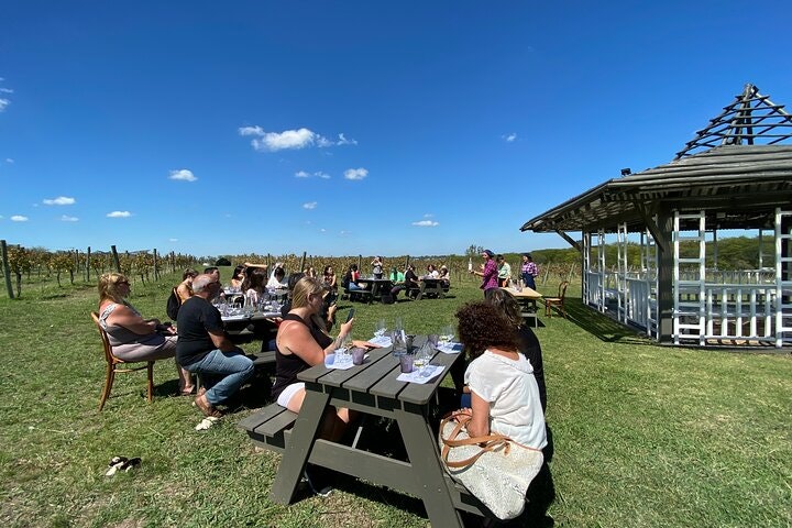 Bodega Gamboa Small-Group Wine Tasting Tour with Lunch - imagen #5