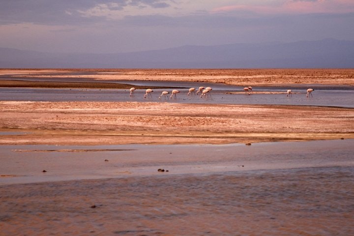 4-Days Discovery at San Pedro de Atacama - imagen #19