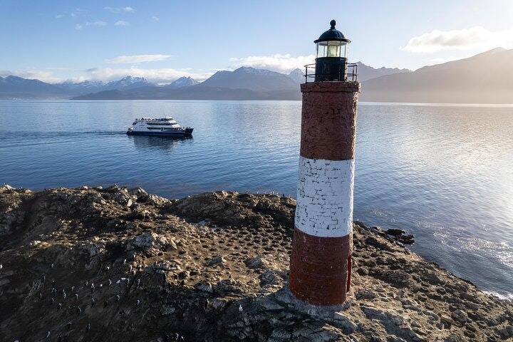 Martillo Island: Boat Trip to the Penguin Colony & Beagle Channel - imagen #23