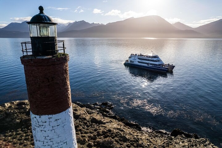 Martillo Island: Boat Trip to the Penguin Colony & Beagle Channel - imagen #9