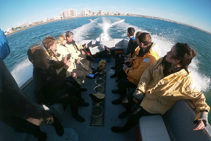 Snorkeling with Sea Lions in Puerto Madryn - imagen #2