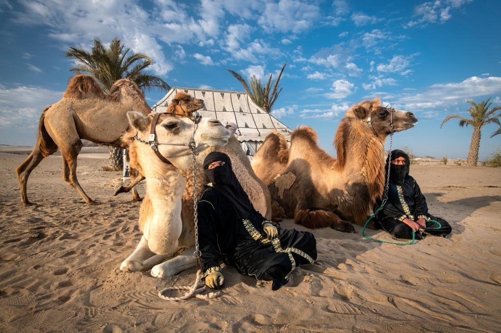 Ica-04 : Camel Ride - Unforgettable Desert Experience - imagen #6