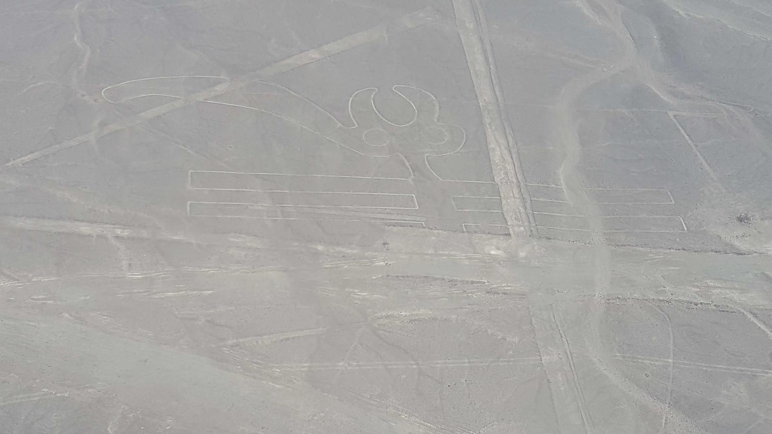 Excursión de día completo a las Líneas de Nazca desde Lima (autobús y vuelo) - imagen #3