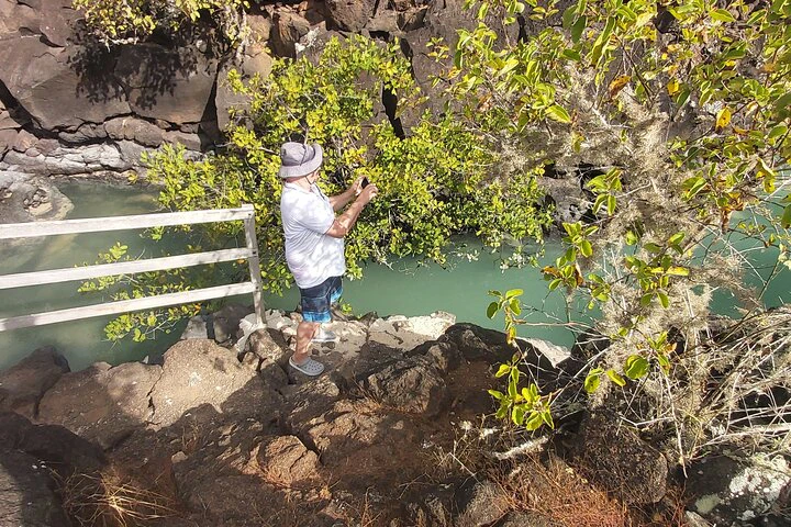 Galápagos: Excursión a Santa Cruz, 4 días - imagen #7