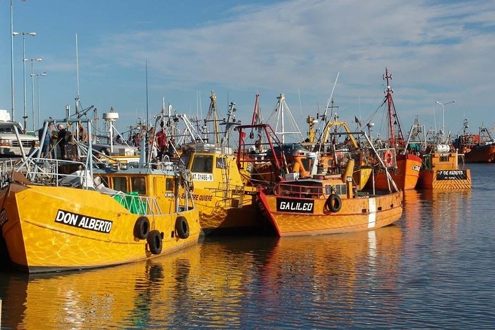 Chubut River Valley with Gaiman Welsh Village from Puerto Madryn - imagen #3