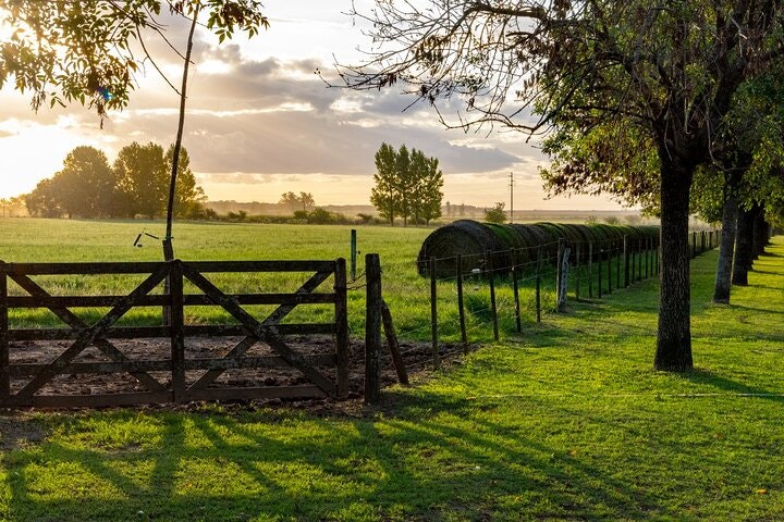 5-Days of Buenos Aires Adventures - imagen #11