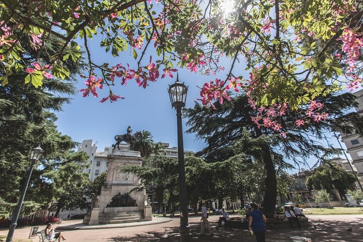 Montevideo Private Full Day Tour from Buenos Aires - imagen #5