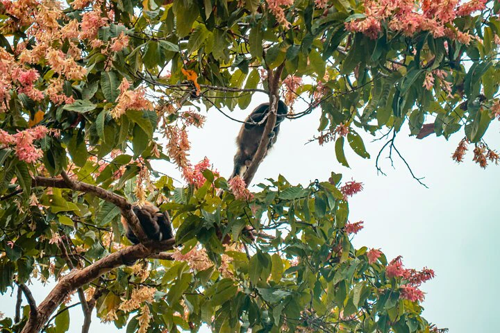 Private Tour from Guayaquil to Churute Ecological Reserve - imagen #4