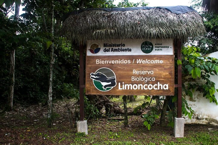 Tour por el Amazonas y el Yasuní: 5 días - 4 noches - imagen #5